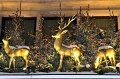Weihnachtszeit   0022